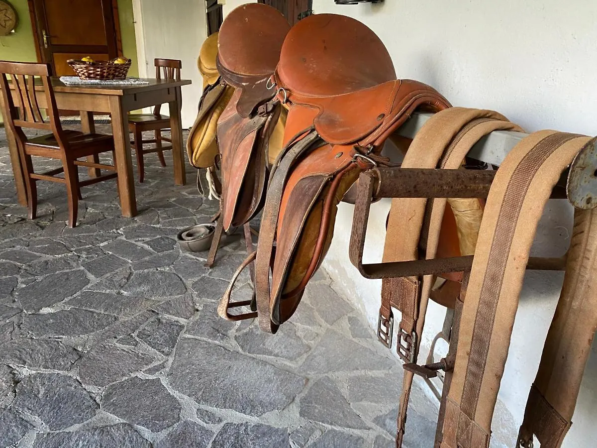 Bed & Breakfast Il Nuraghe Del Lago Coghinas Oschiri