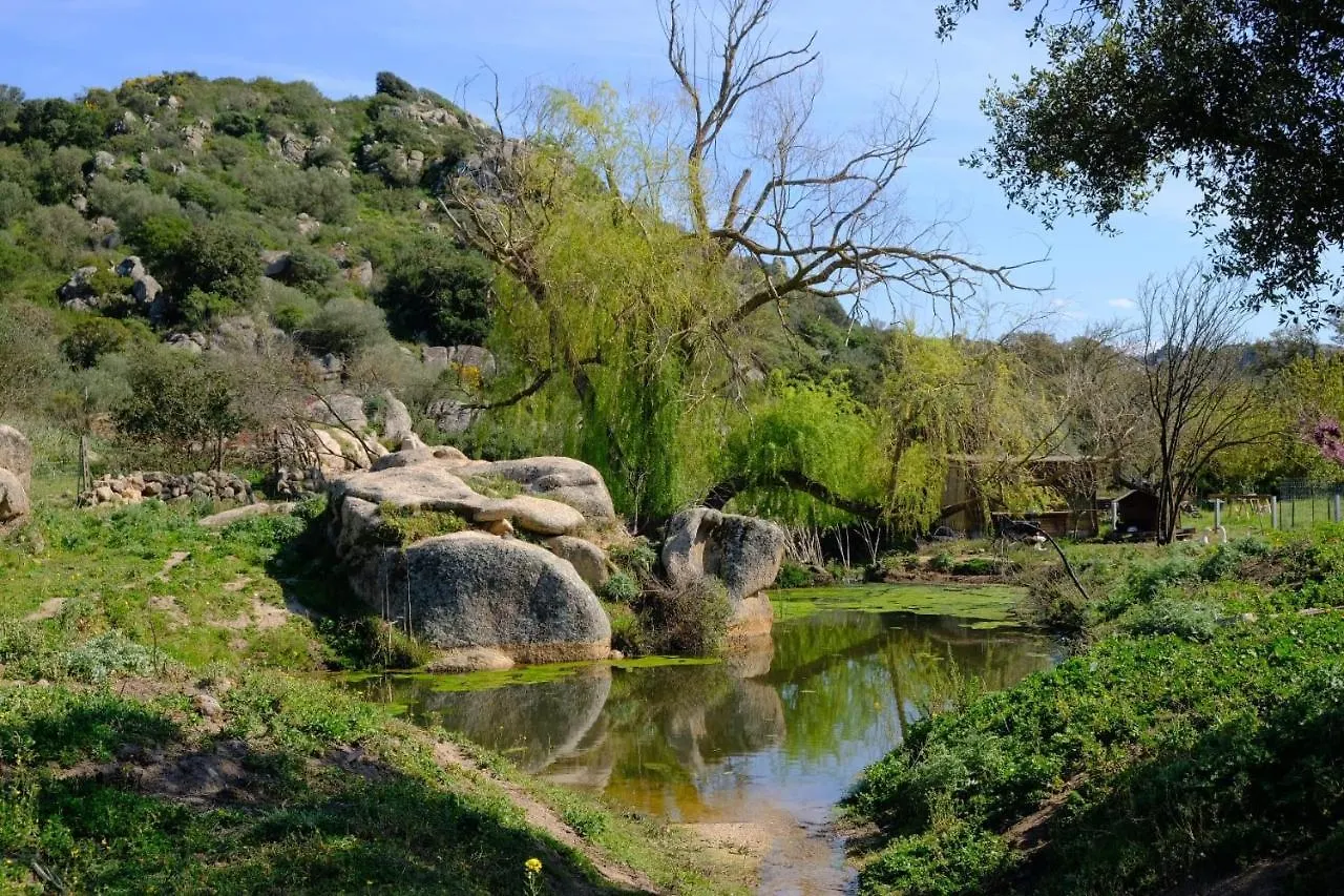 Il Nuraghe Del Lago Coghinas Oschiri