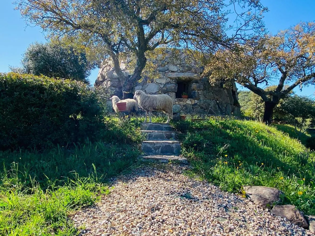 Il Nuraghe Del Lago Coghinas Oschiri Bed & Breakfast