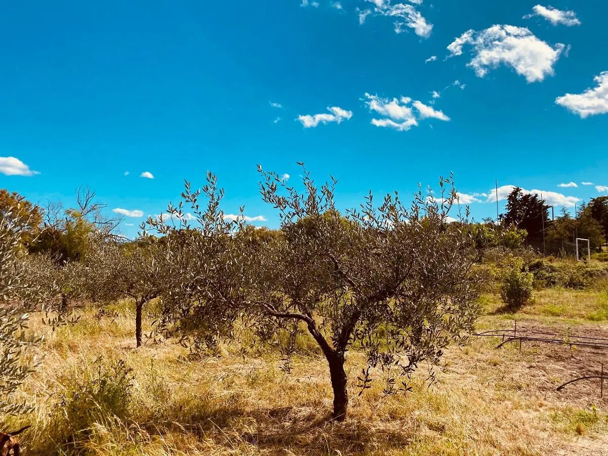 Il Nuraghe Del Lago Coghinas Oschiri