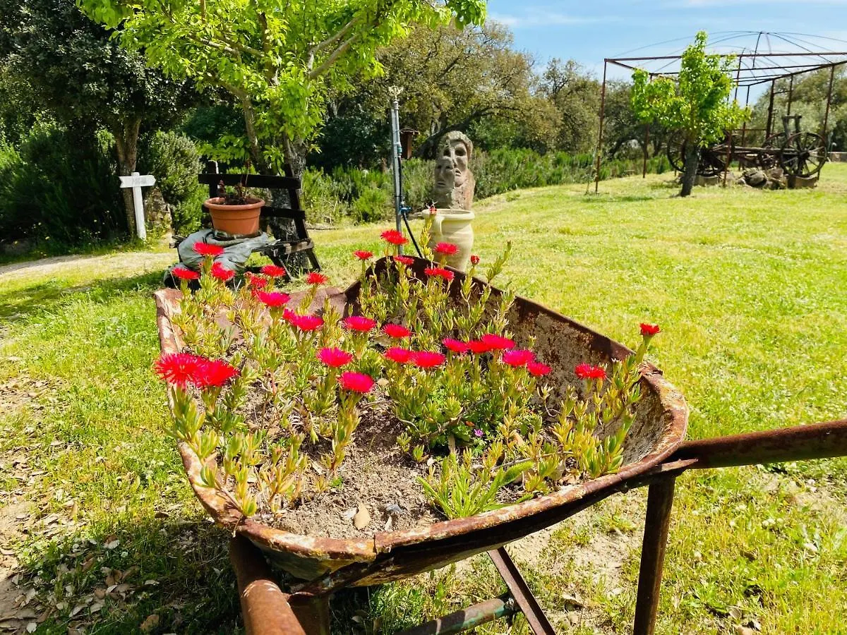 Il Nuraghe Del Lago Coghinas Oschiri Bed & Breakfast
