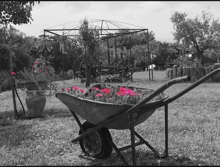 Bed & Breakfast Il Nuraghe Del Lago Coghinas Oschiri