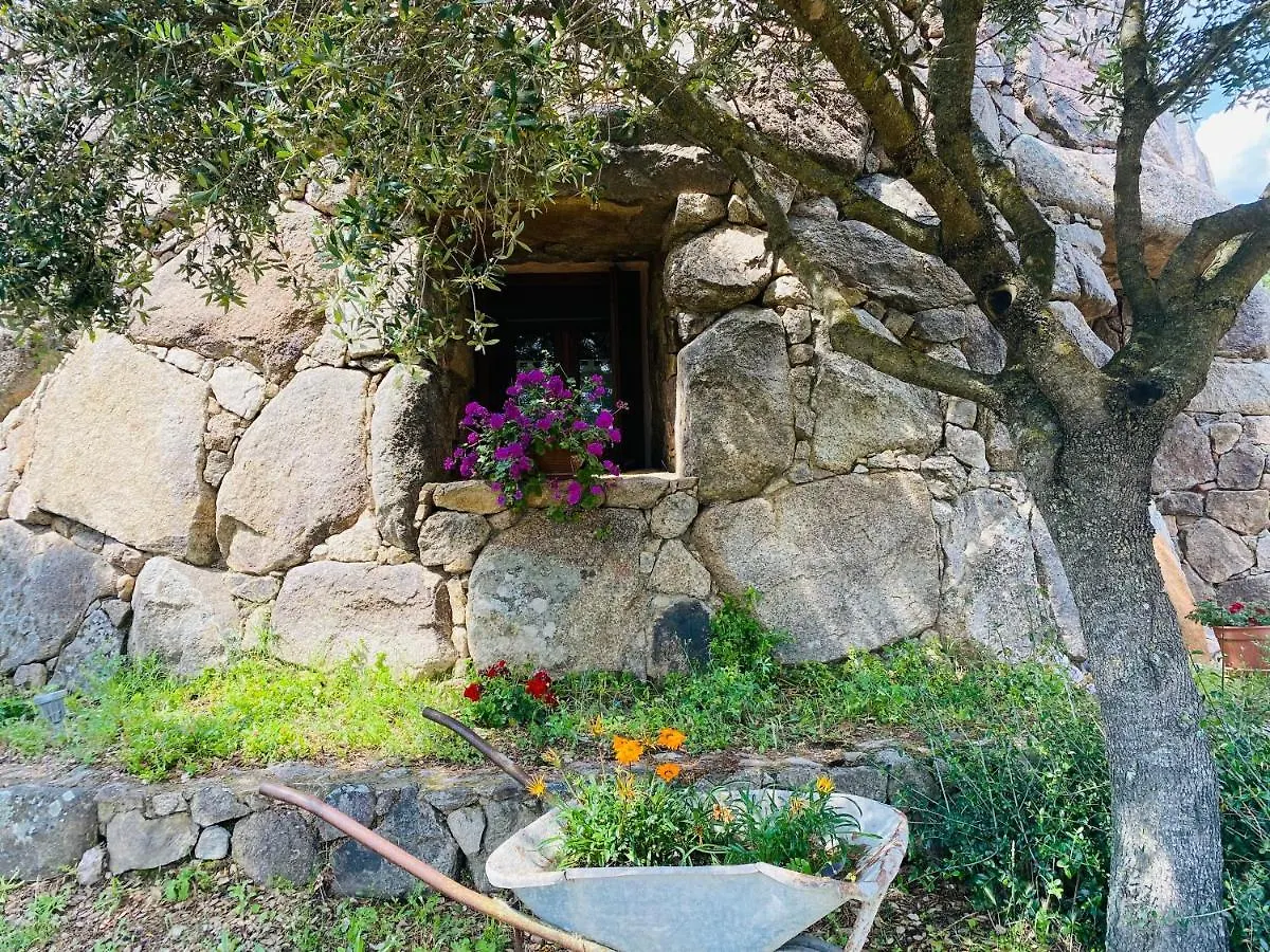 Il Nuraghe del lago Coghinas Oschiri Italia