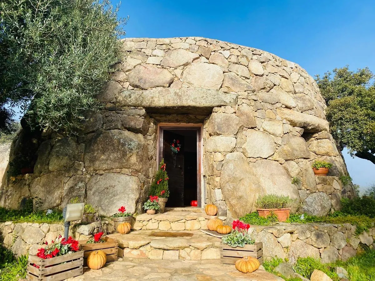 Il Nuraghe Del Lago Coghinas Oschiri