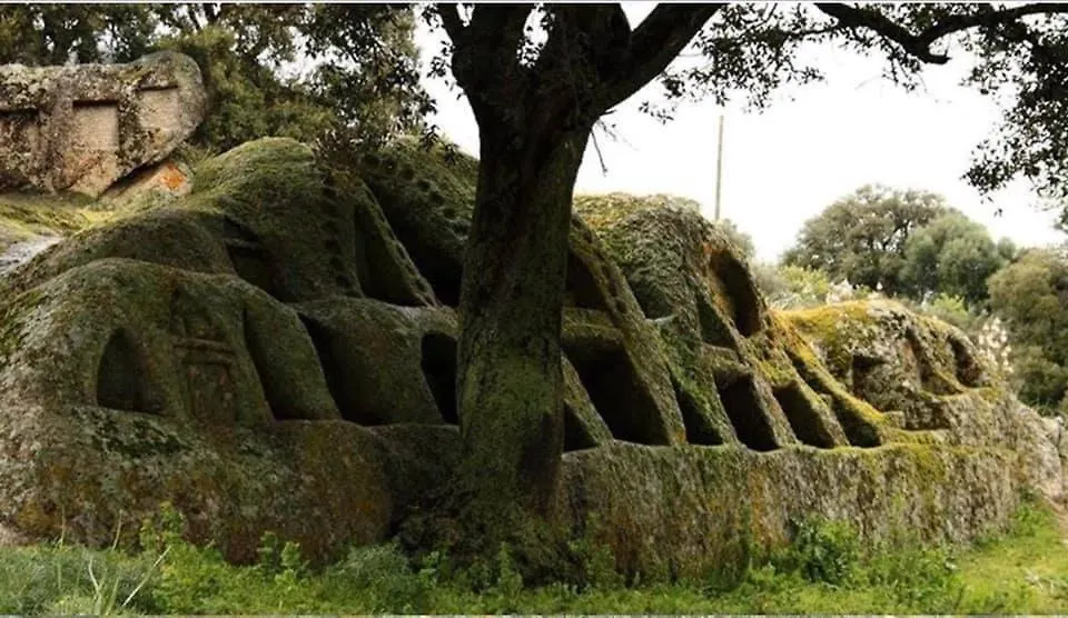 Il Nuraghe Del Lago Coghinas Oschiri 0*,