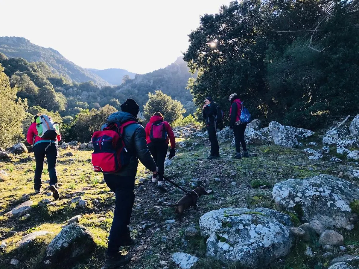 Il Nuraghe Del Lago Coghinas Oschiri Bed & Breakfast
